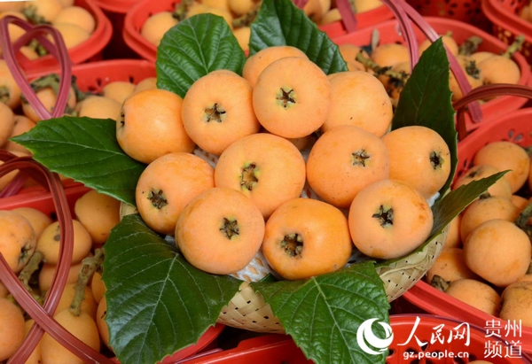 富硒水果种植政策(水果种植致富)-硒宝网