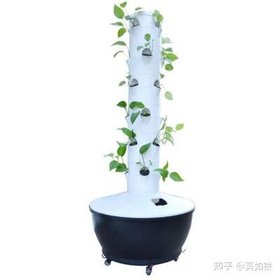 富硒水果种植技术(水果种植富硒技术方法)-硒宝网