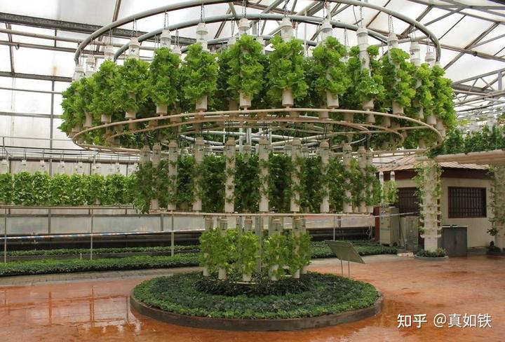 富硒水果种植技术(水果种植富硒技术方法)-硒宝网