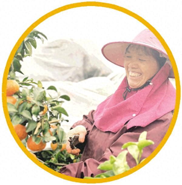 桂林富硒水果美食(桂林盛产水果)-硒宝网