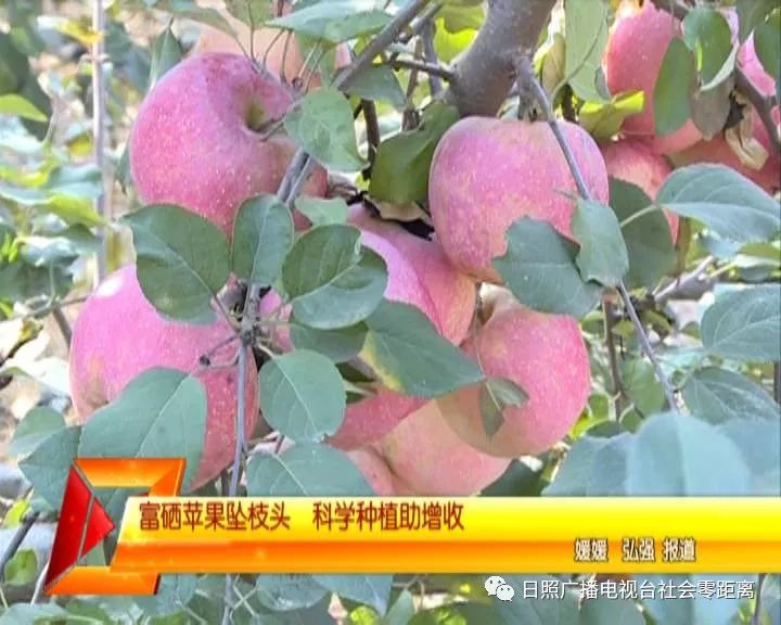 富硒水果怎样种植(富硒水果的标准是多少)-硒宝网