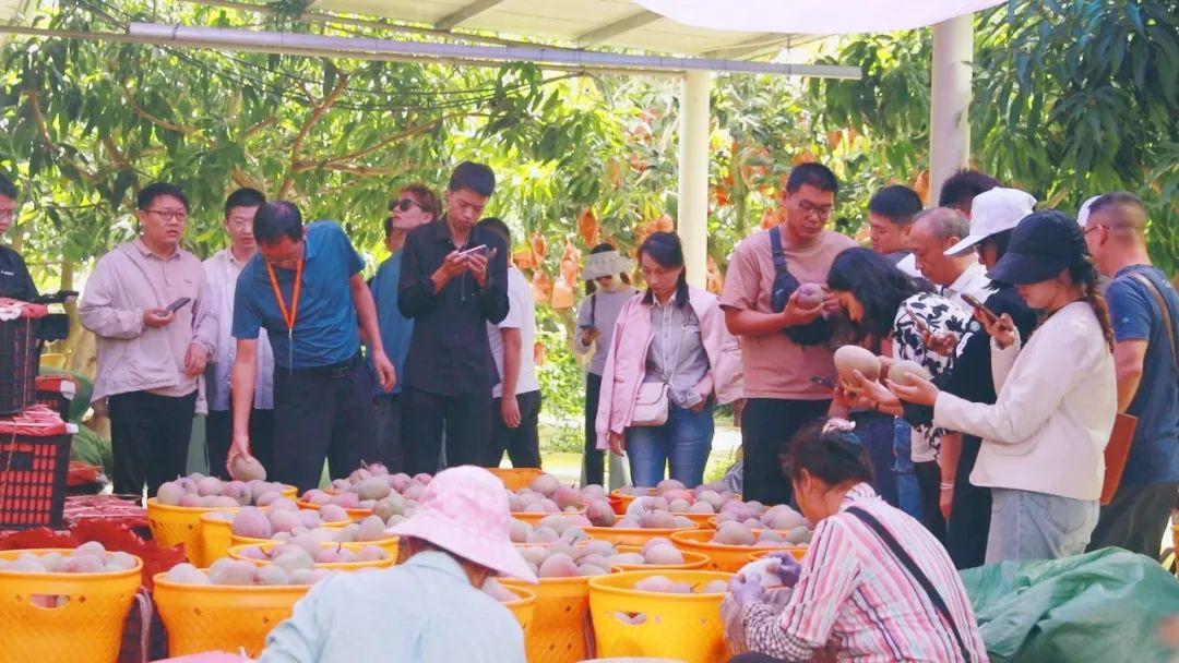 凉山富硒水果种植（富硒水果的国家标准是多少）-硒宝网