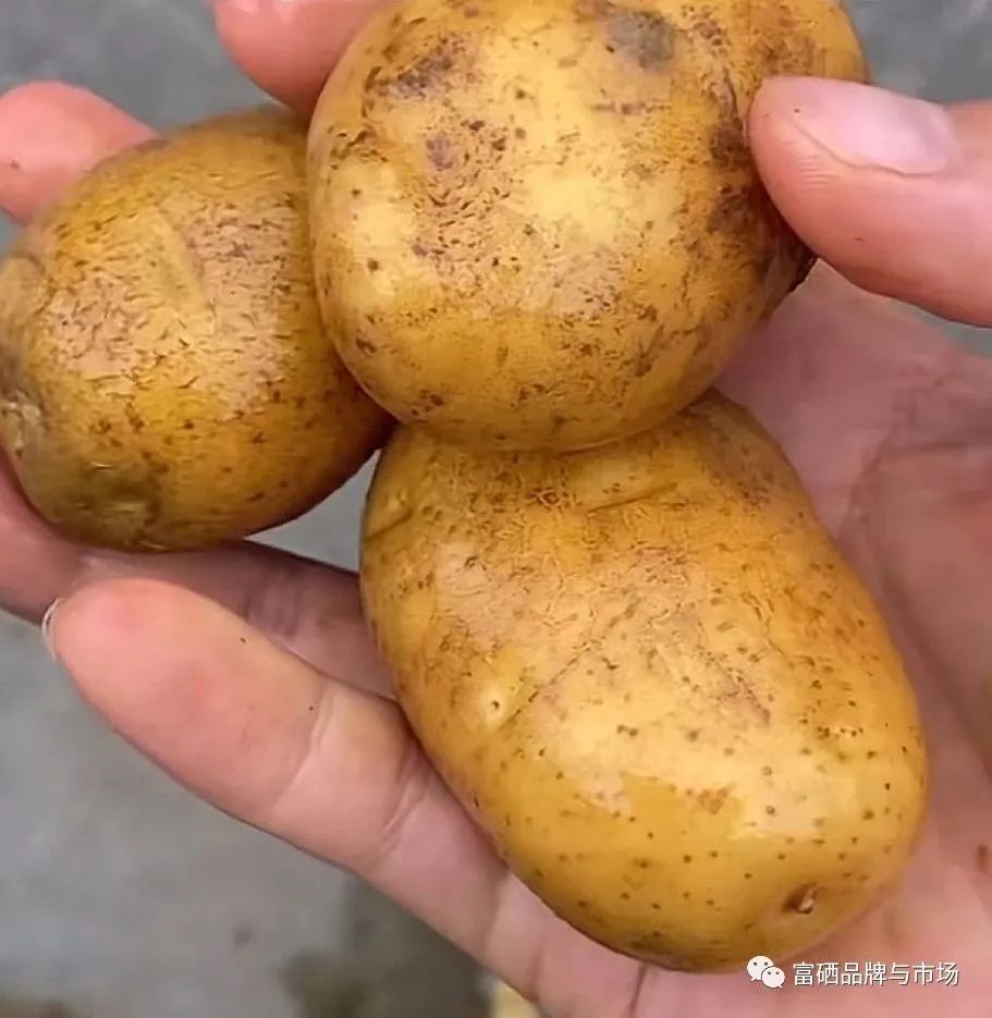 富硒水果怎样种植（富硒对水果的作用如何）-硒宝网