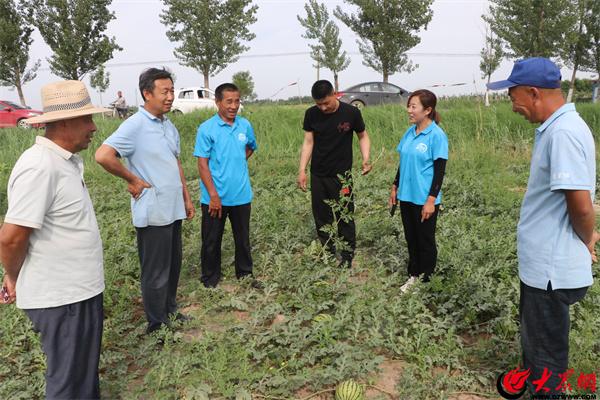 滨州富硒水果包装(山东富硒苹果多少钱一斤)-硒宝网