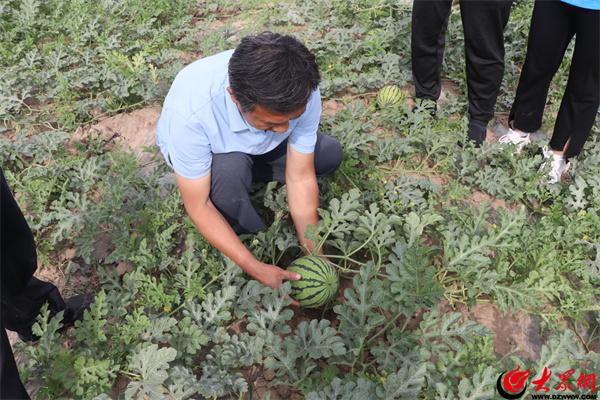 滨州富硒水果包装(山东富硒苹果多少钱一斤)-硒宝网