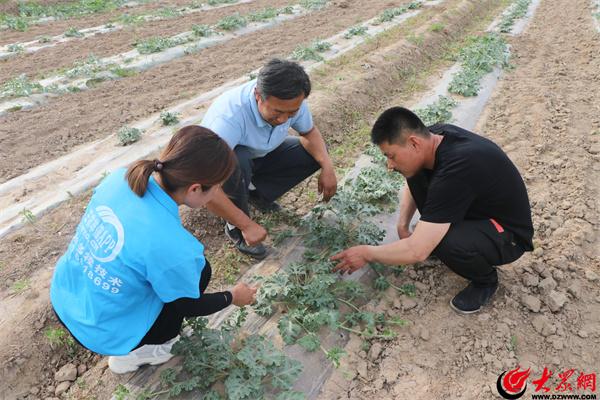 滨州富硒水果包装(山东富硒苹果多少钱一斤)-硒宝网
