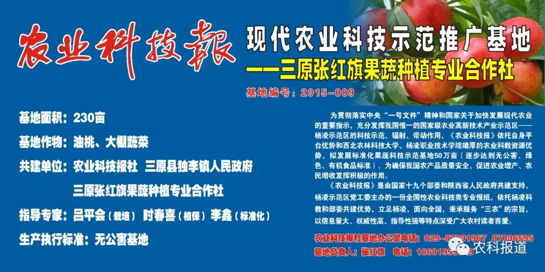 凉山富硒水果种植(富硒苹果种植技术)-硒宝网