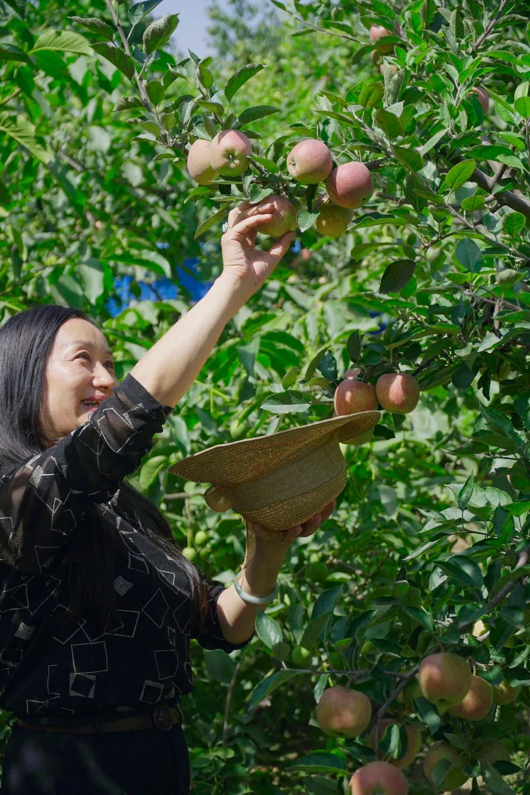 田园富硒水果采摘（田园采摘水果富硒的好处）-硒宝网