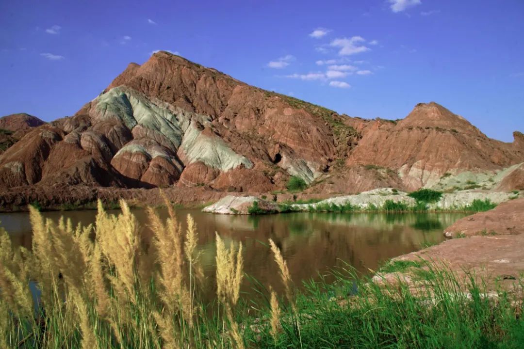 田园富硒水果采摘（田园采摘水果富硒的好处）-硒宝网