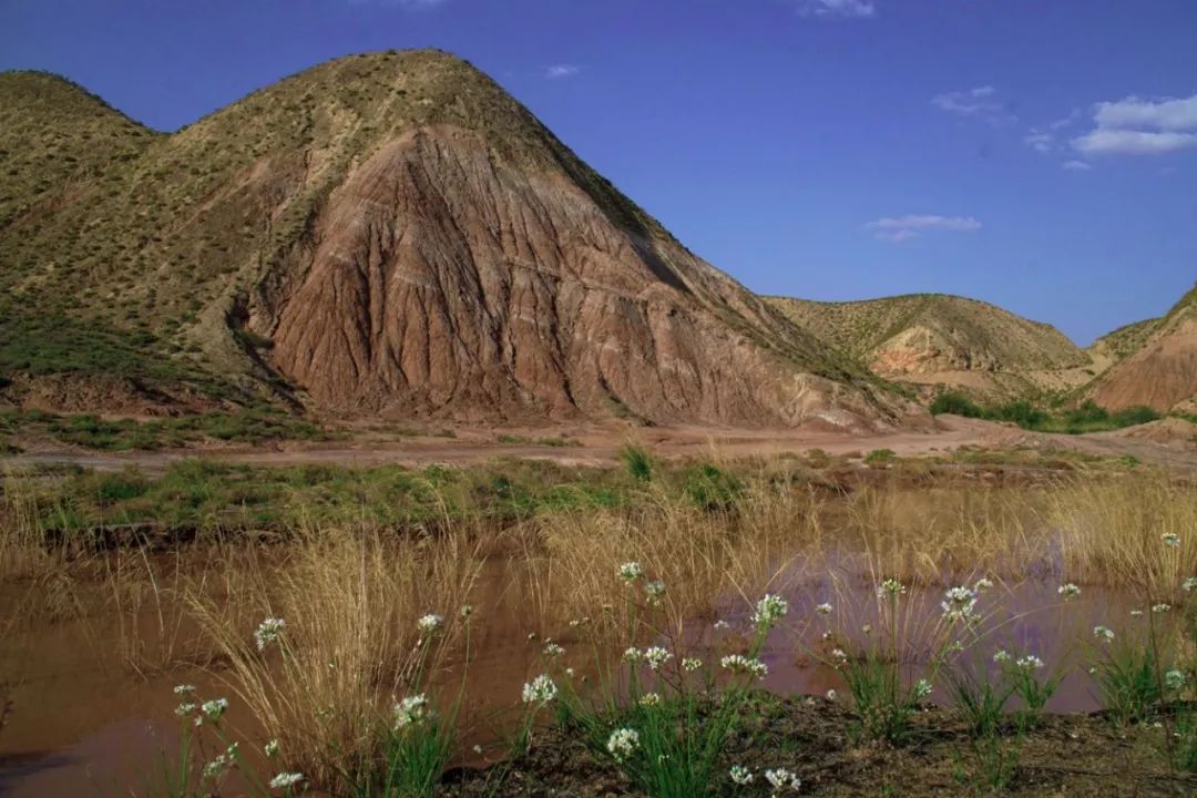 田园富硒水果采摘（田园采摘水果富硒的好处）-硒宝网