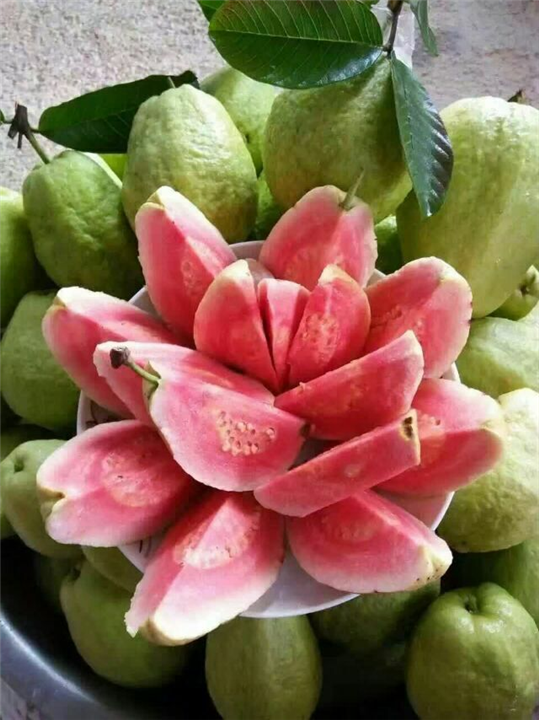 淄川富硒水果施肥(富硒水溶肥)-硒宝网