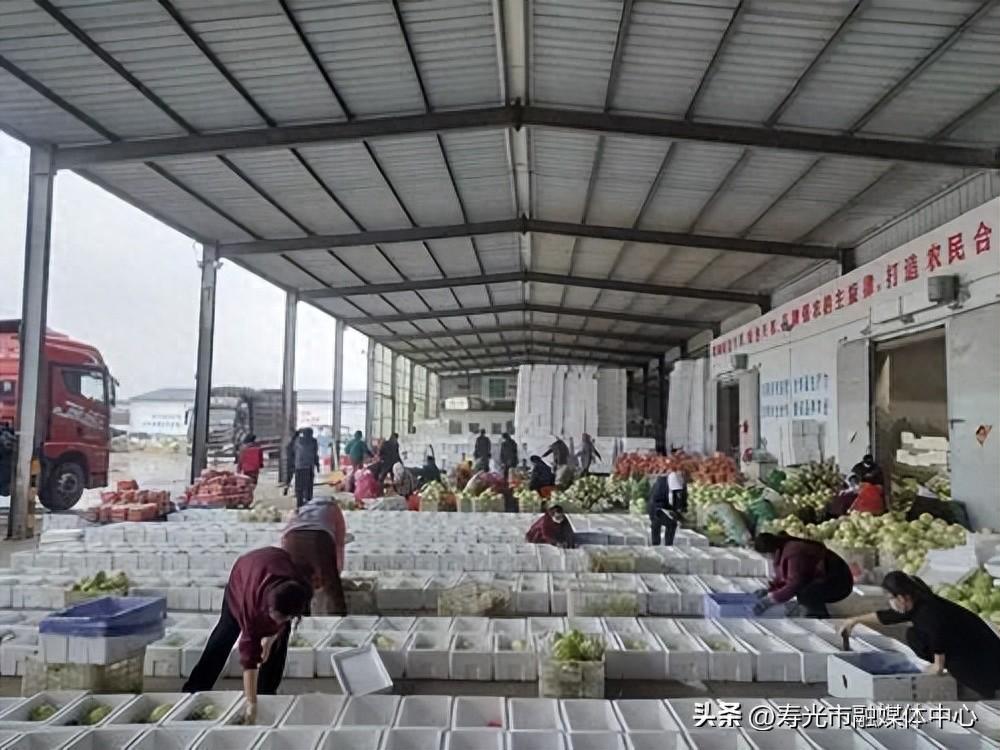 潍坊富硒水果供应（潍坊水果）-硒宝网