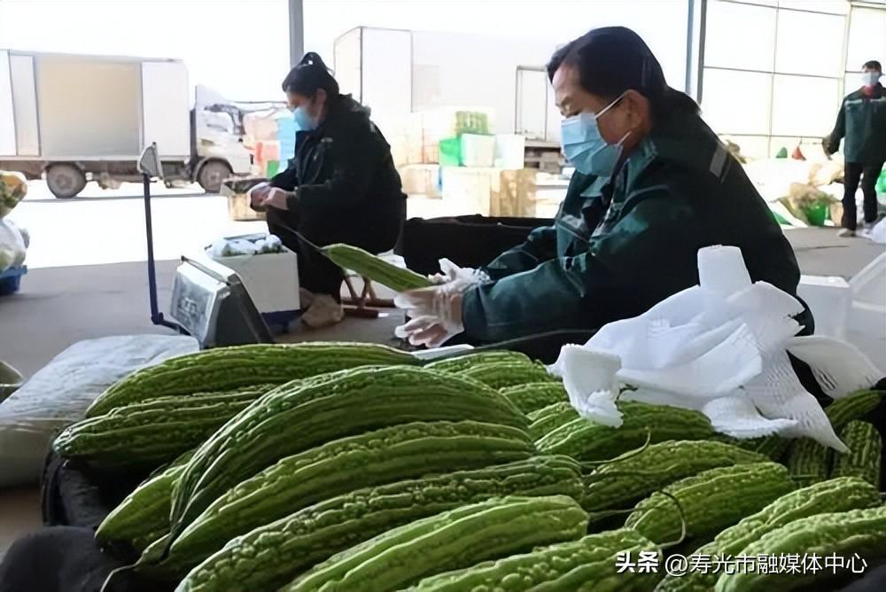 潍坊富硒水果供应（潍坊水果）-硒宝网