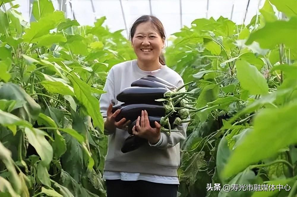 潍坊富硒水果供应（潍坊水果）-硒宝网