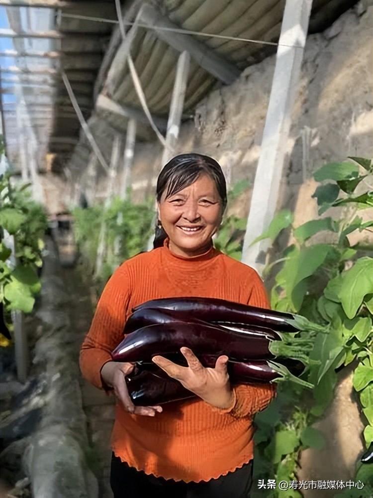 潍坊富硒水果供应（潍坊水果）-硒宝网