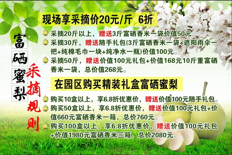 江苏富硒水果采摘(江苏富硒农业网)-硒宝网