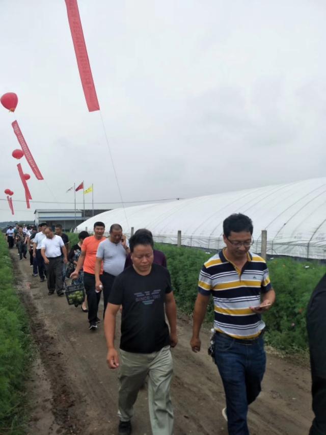 江苏富硒水果采摘(江苏富硒农业网)-硒宝网