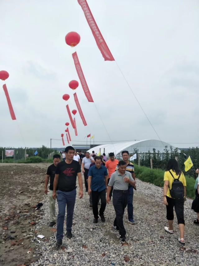 江苏富硒水果采摘(江苏富硒农业网)-硒宝网
