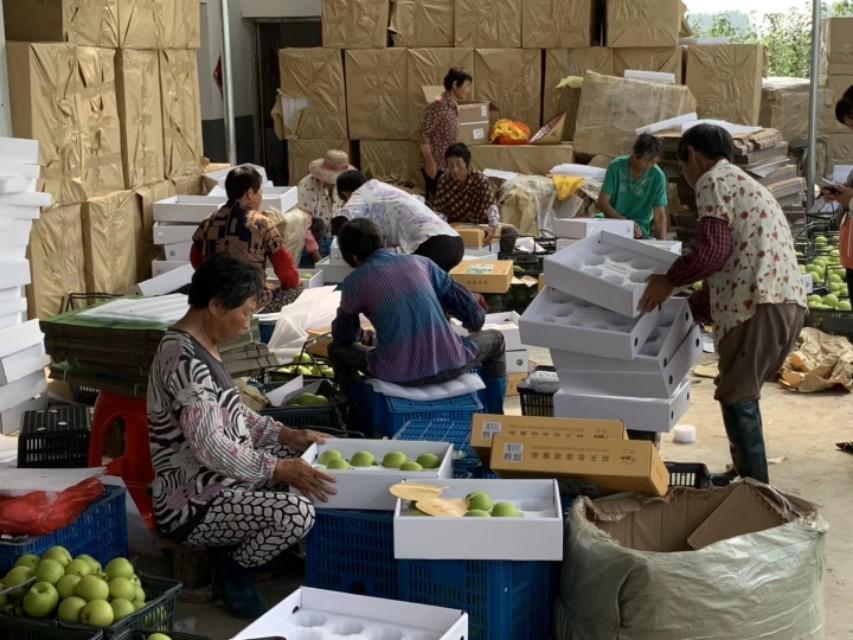 江苏富硒水果采摘(江苏富硒农业网)-硒宝网