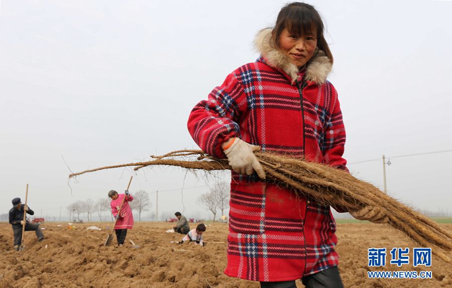 淄博富硒水果种苗（淄博富硒源家庭农场）-硒宝网