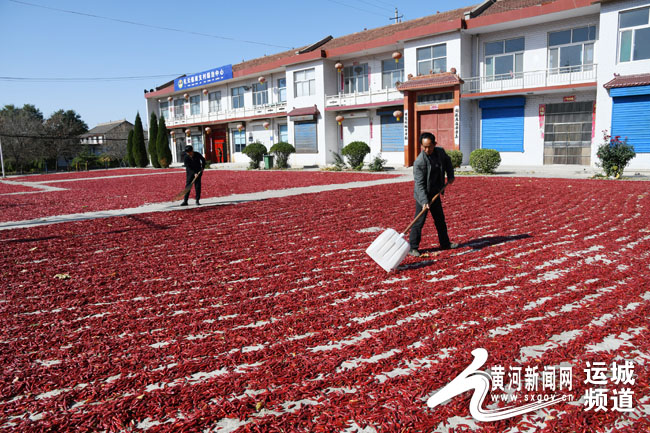 淄博富硒水果种苗（淄博富硒源家庭农?。?硒宝网