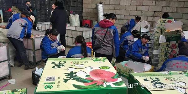 江苏富硒水果包装（富硒果园）-硒宝网