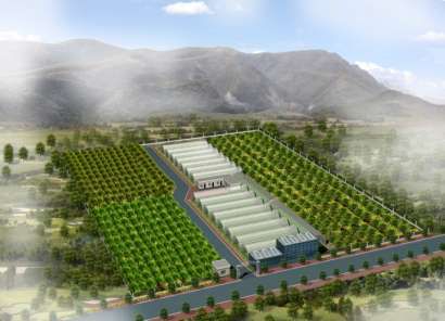 富硒葡萄水果文案(文案水果葡萄富硒的句子)-硒宝网