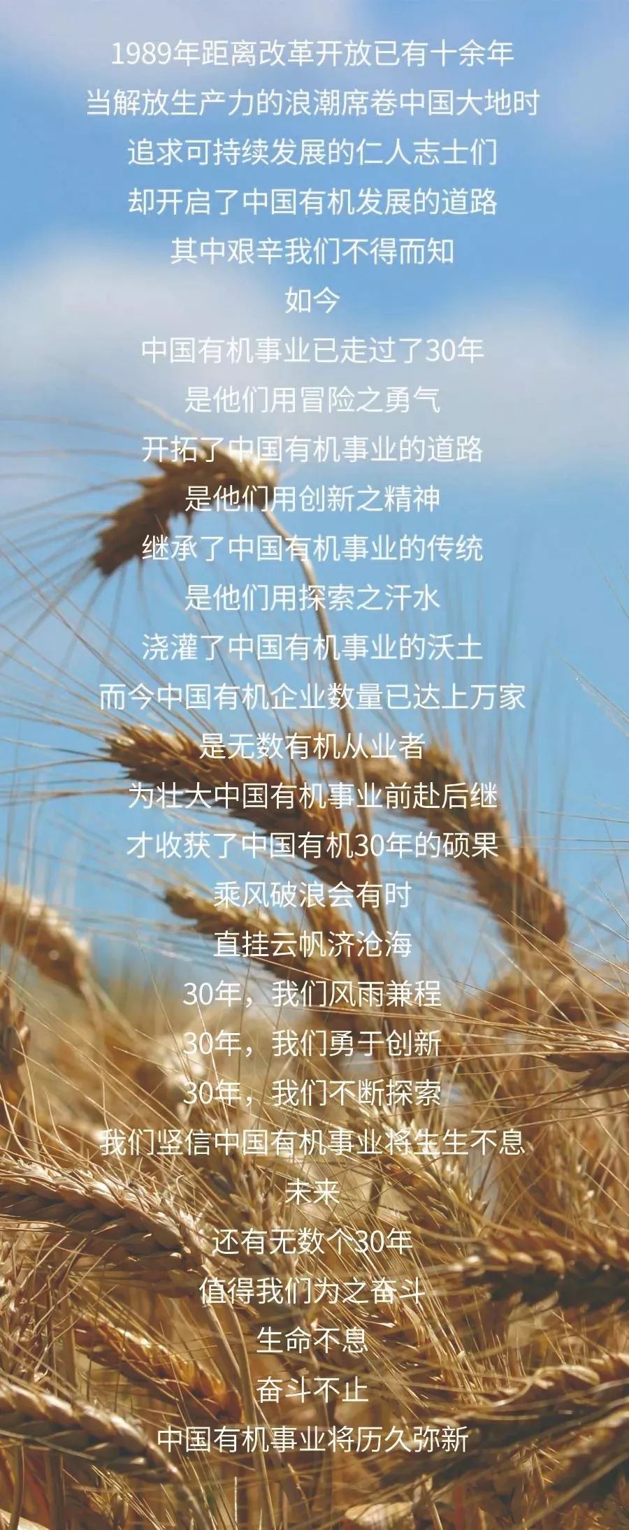 富硒葡萄水果文案(文案水果葡萄富硒的句子)-硒宝网