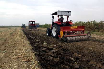 富硒葡萄水果文案(文案水果葡萄富硒的句子)-硒宝网