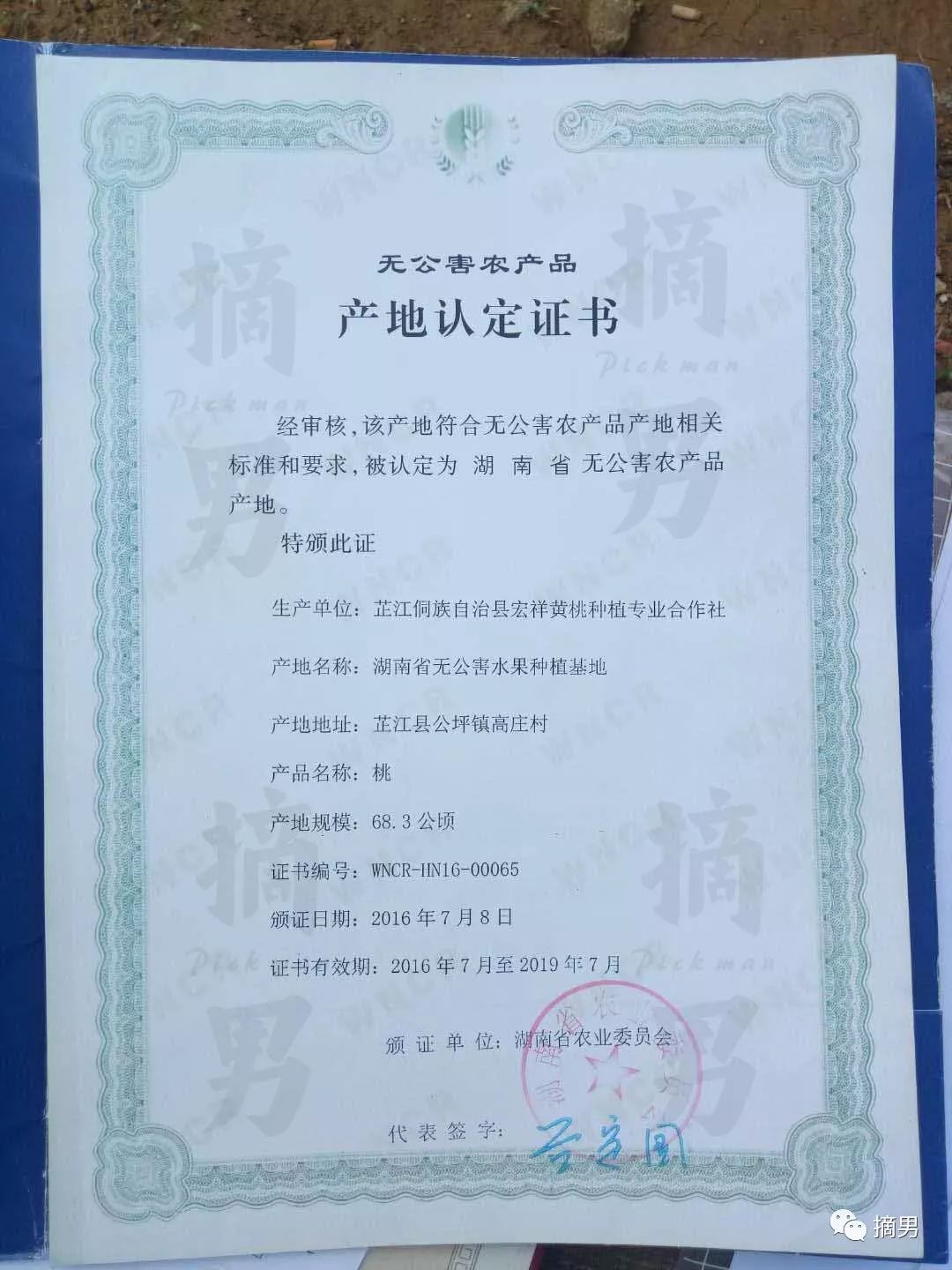 如何栽植富硒水果(水果栽植富硒好吗)-硒宝网