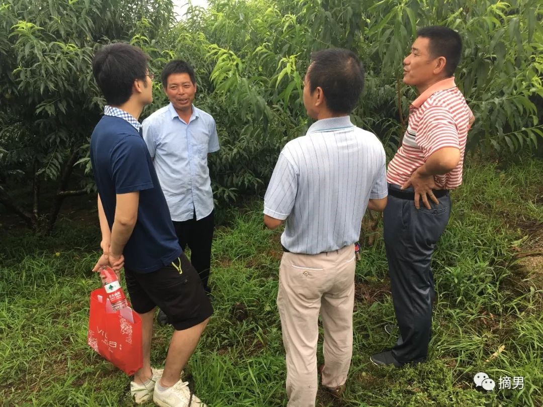 如何栽植富硒水果(水果栽植富硒好吗)-硒宝网