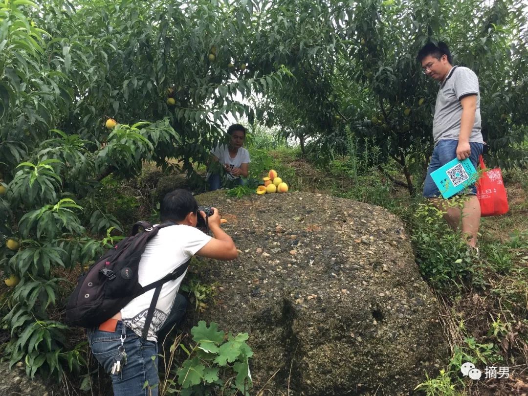 如何栽植富硒水果(水果栽植富硒好吗)-硒宝网