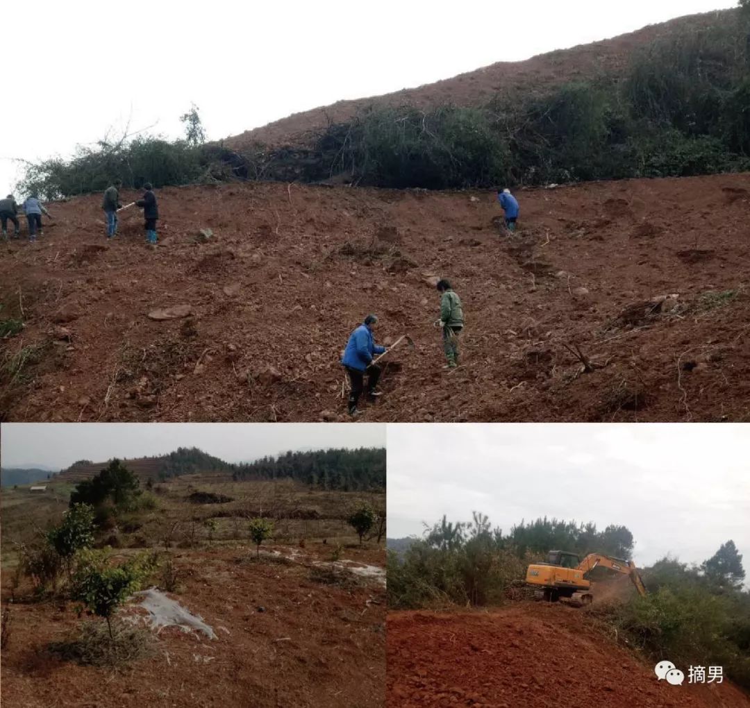 如何栽植富硒水果(水果栽植富硒好吗)-硒宝网