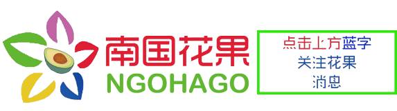 如何栽植富硒水果(富硒对水果的作用如何)-硒宝网