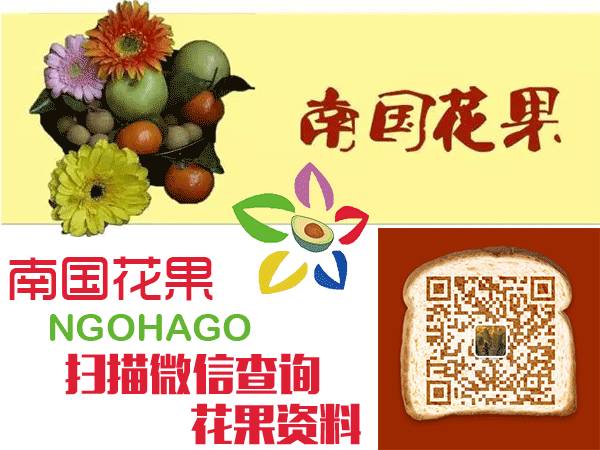 如何栽植富硒水果(富硒对水果的作用如何)-硒宝网