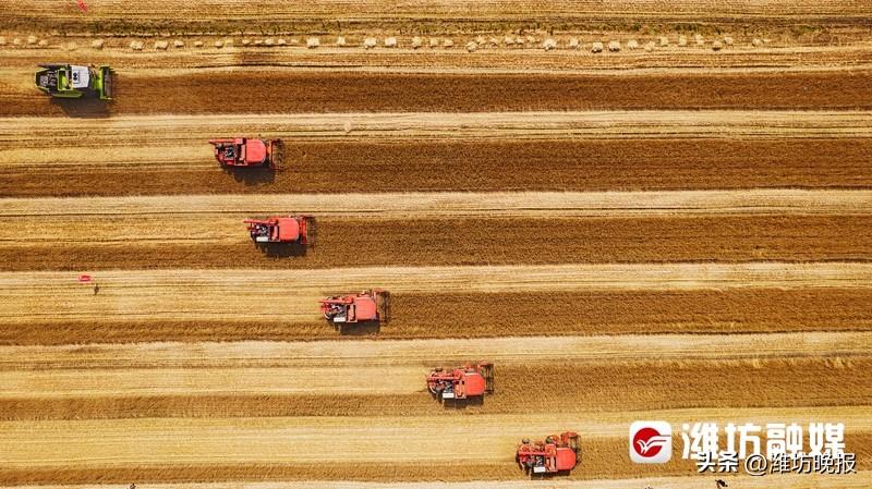 潍坊富硒水果供应(潍坊富硒西瓜)-硒宝网