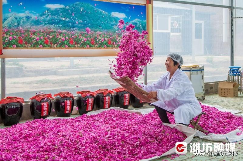 潍坊富硒水果供应(潍坊富硒西瓜)-硒宝网