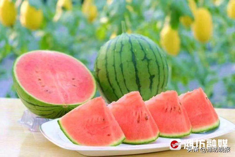 潍坊富硒水果供应(潍坊富硒西瓜)-硒宝网