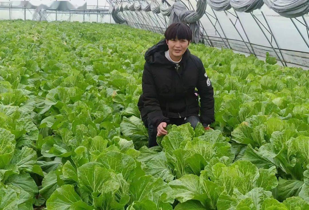 富硒水果萝卜种植(富硒水果萝卜礼盒)-硒宝网