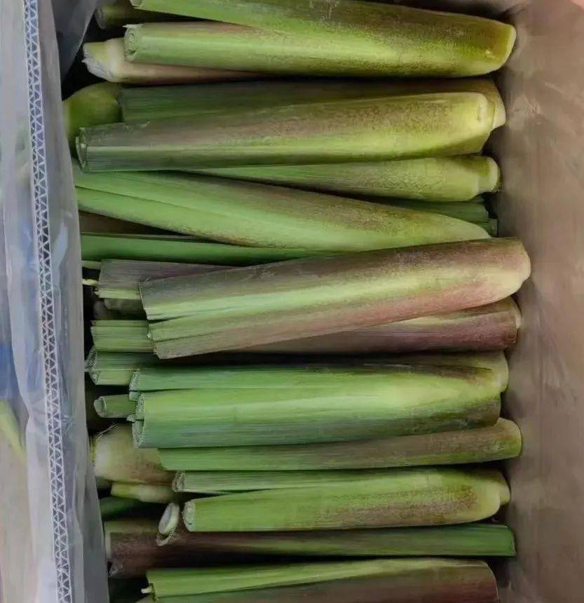 富硒水果萝卜种植(富硒水果萝卜礼盒)-硒宝网