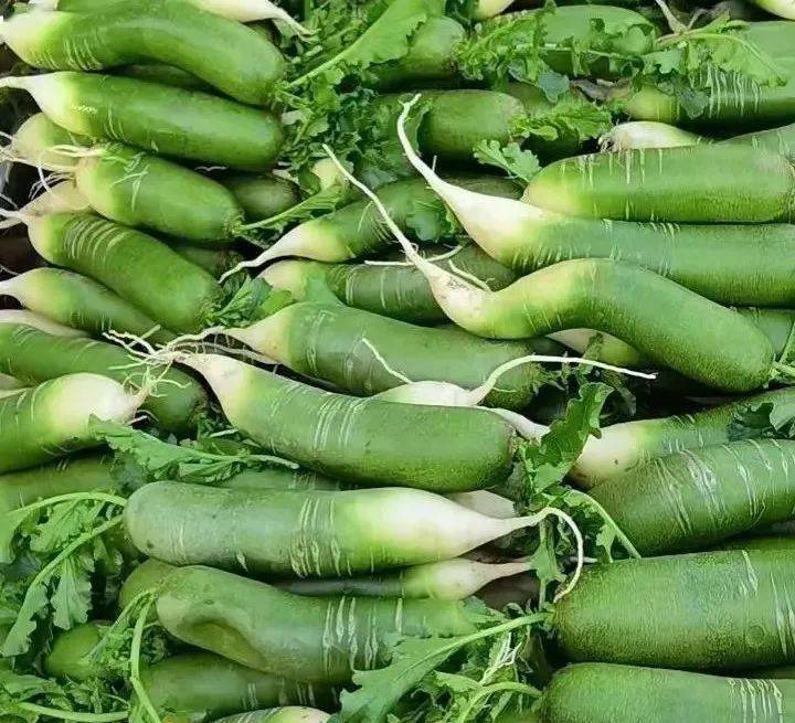 富硒水果萝卜种植(富硒水果萝卜礼盒)-硒宝网