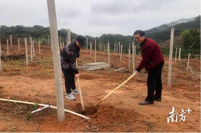 富硒水果联盟基地（水果示范基地）-硒宝网