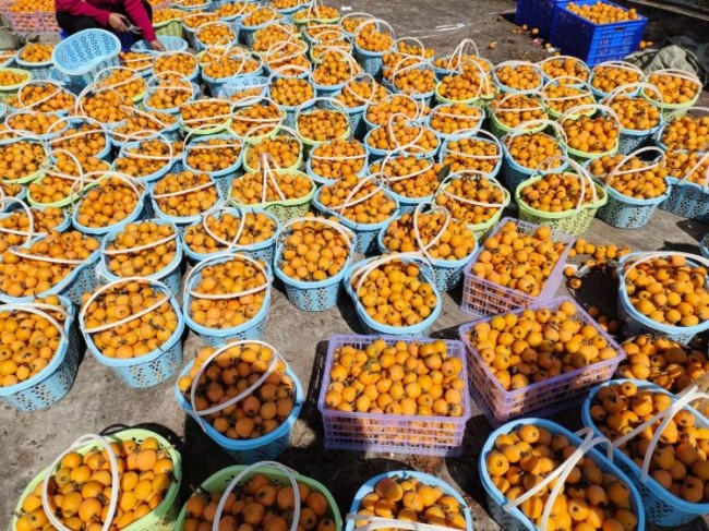 富硒水果采摘活动(水果采摘活动主题)-硒宝网