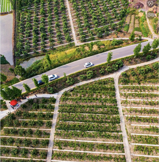 富硒水果采摘活动(水果采摘活动主题)-硒宝网