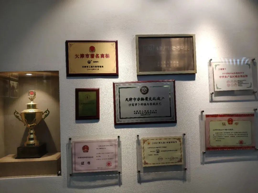 富硒正宗水果萝卜(富硒水果萝卜礼盒)-硒宝网