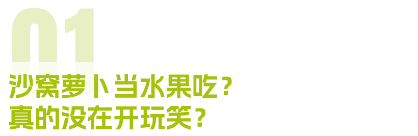 富硒正宗水果萝卜(富硒水果萝卜礼盒)-硒宝网