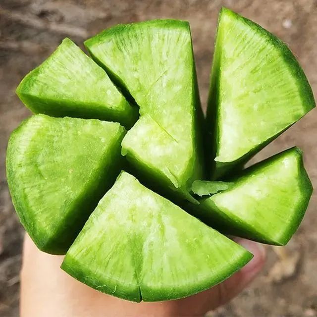 富硒正宗水果萝卜(富硒水果萝卜礼盒)-硒宝网