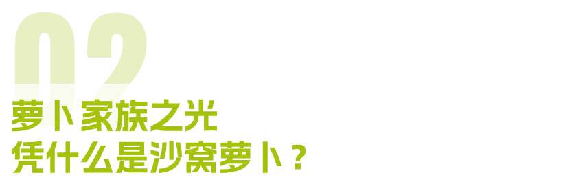 富硒正宗水果萝卜(富硒水果萝卜礼盒)-硒宝网