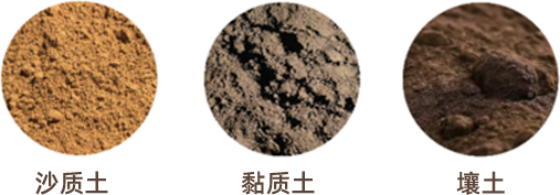 富硒正宗水果萝卜(富硒水果萝卜礼盒)-硒宝网