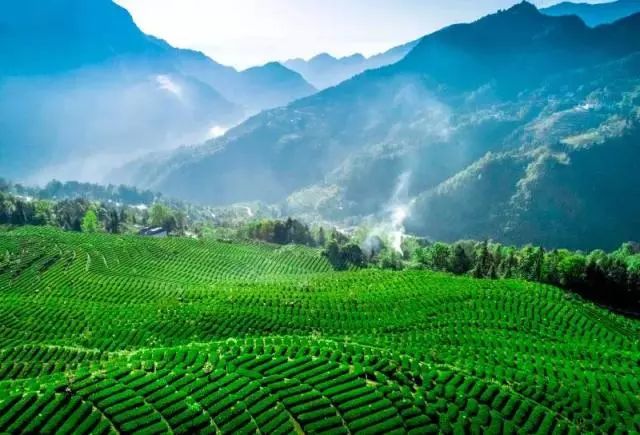 富硒有机水果出山（富硒有机水果出山）-硒宝网